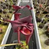 Sarracenia x 'Reptilian Rose' OP blurred
