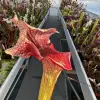 Sarracenia x "Steel Panther" blurred