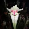 S x "Red Tanga" blurred