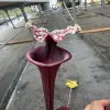 Sarracenia x "Lilith" blurred