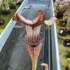 Sarracenia rubra ssp.jonesii "Black lips" blurred