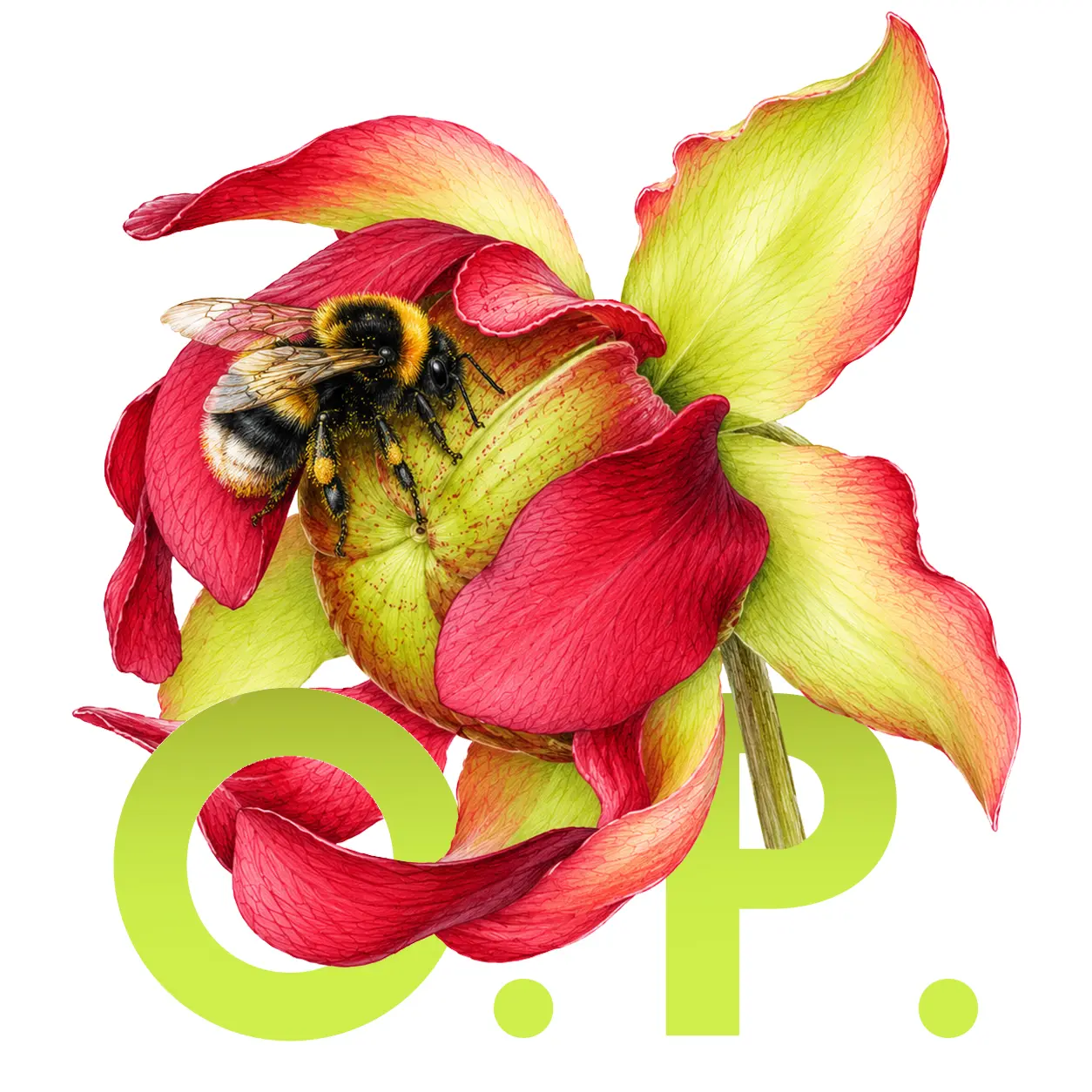 Open Pollination